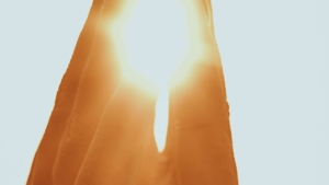 How Great Workplace Culture at VVPUSA Translates into Exceptional Customer Experiences